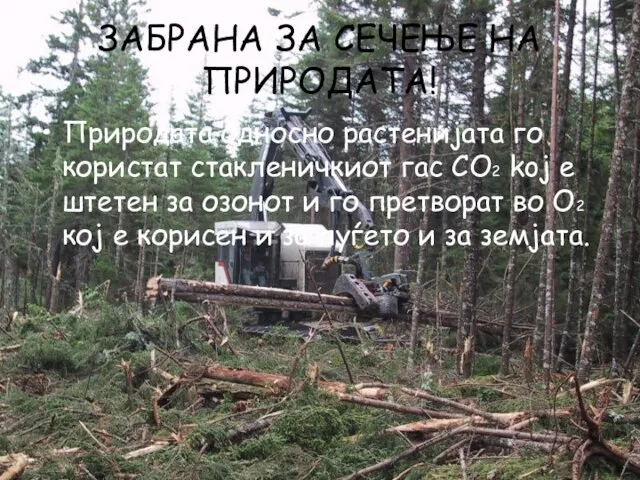 ЗАБРАНА ЗА СЕЧЕЊЕ НА ПРИРОДАТА! Природата односно растенијата го користат стакленичкиот