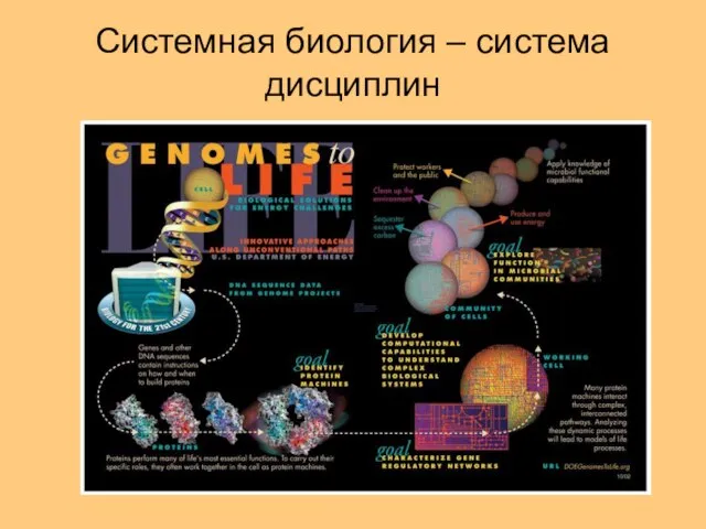 Системная биология – система дисциплин