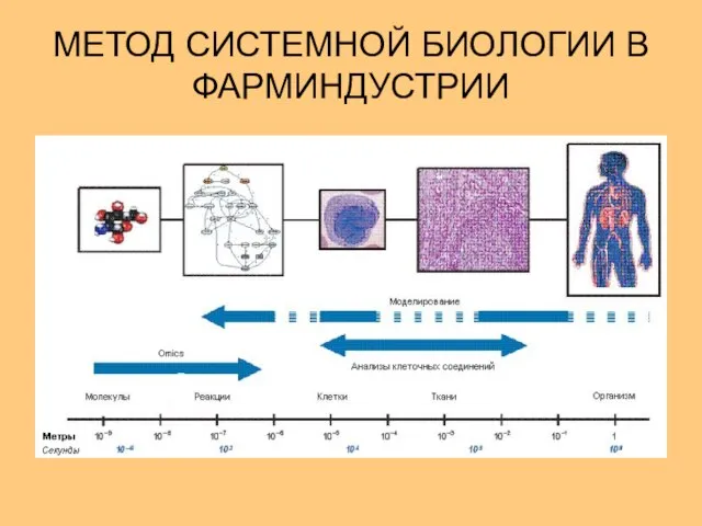 МЕТОД СИСТЕМНОЙ БИОЛОГИИ В ФАРМИНДУСТРИИ