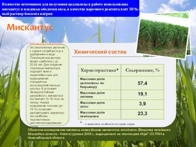 В качестве источников для получения целлюлозы в работе использованы мискантус и