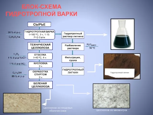 БЛОК-СХЕМА ГИДРОТРОПНОЙ ВАРКИ Целлюлоза из мискантуса Целлюлоза из плодовых оболочек овса