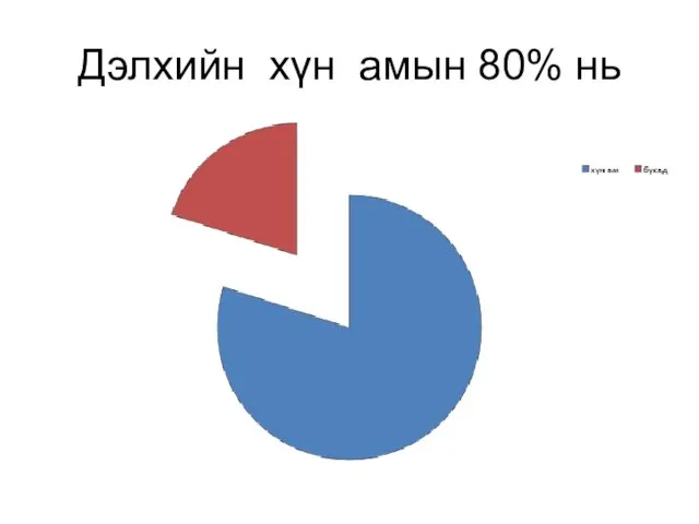 Дэлхийн хүн амын 80% нь