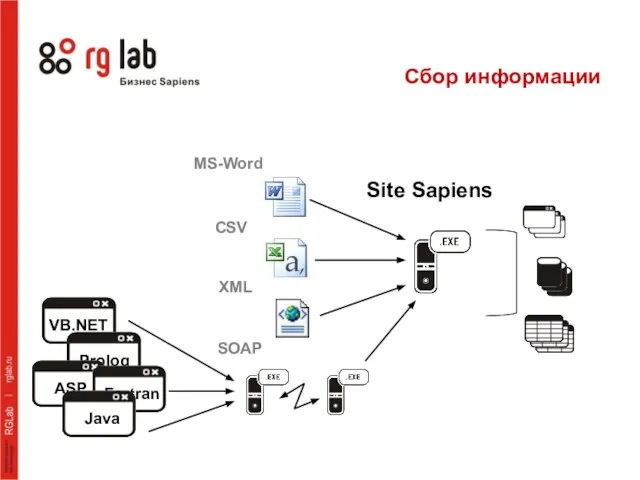 VB.NET Prolog ASP Fortran Java MS-Word CSV XML SOAP Site Sapiens Сбор информации