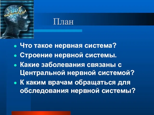 План Что такое нервная система? Строение нервной системы. Какие заболевания связаны