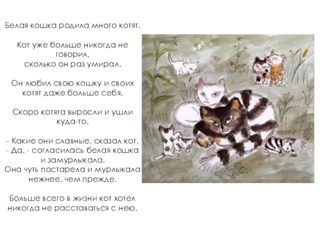 Белая кошка родила много котят. Кот уже больше никогда не говорил,