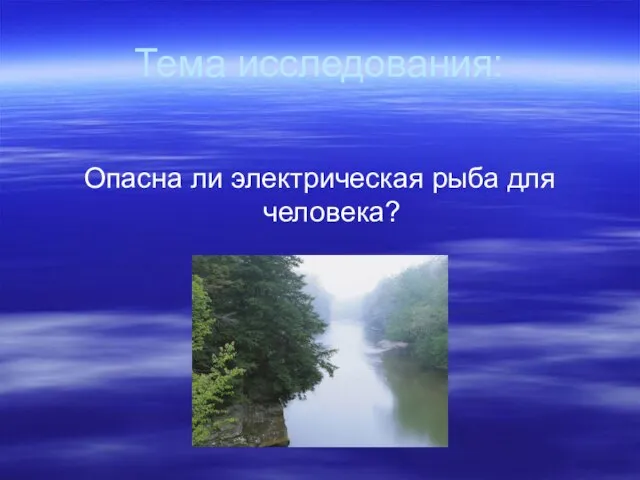 Тема исследования: Опасна ли электрическая рыба для человека?