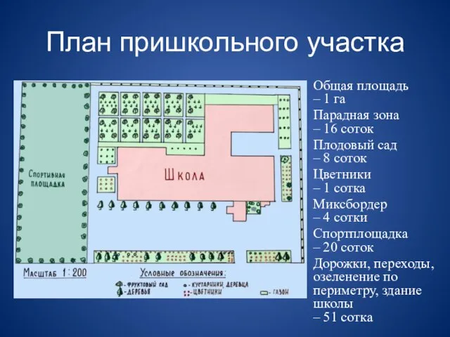 План пришкольного участка Общая площадь – 1 га Парадная зона –