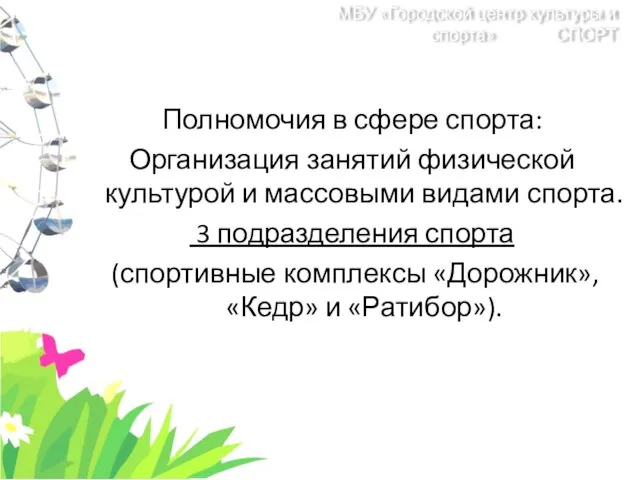 Полномочия в сфере спорта: Организация занятий физической культурой и массовыми видами