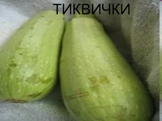 ТИКВИЧКИ ТИКВИЧКИ