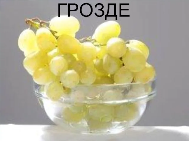 ГРОЗДЕ ГРОЗДЕ