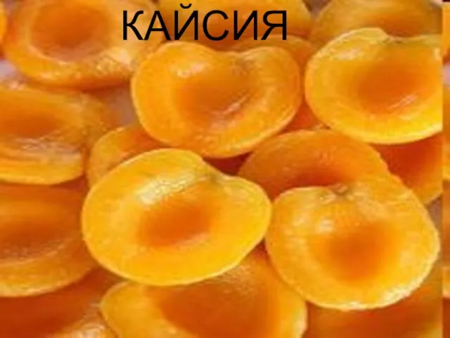 КАЙСИЯ КАЙСИЯ