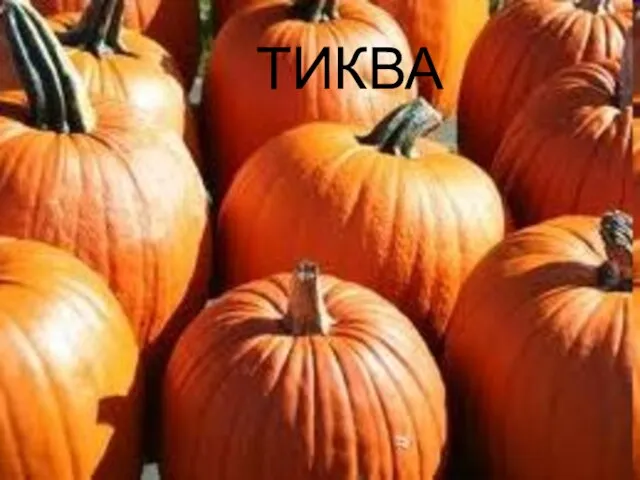 ТИКВА ТИКВА