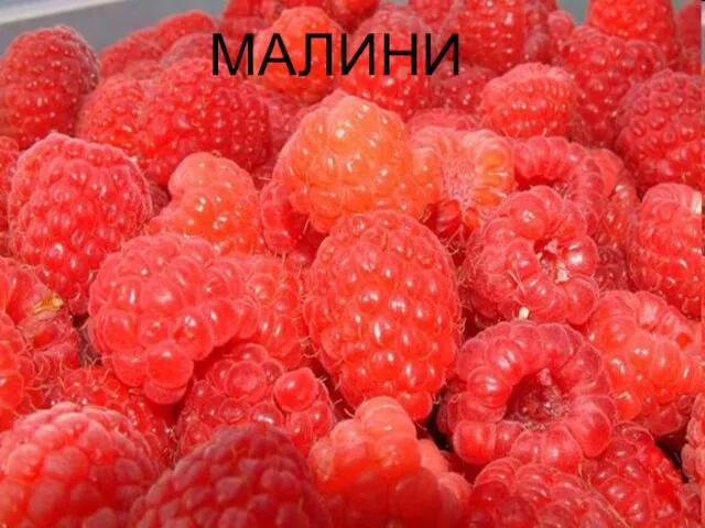 МАЛИНИ МАЛИНИ