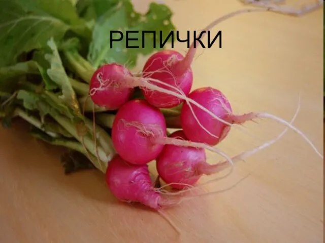 РЕПИЧКИ