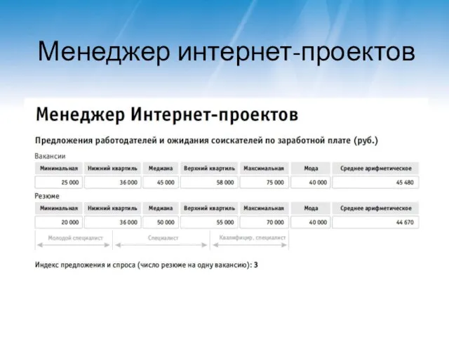 Менеджер интернет-проектов