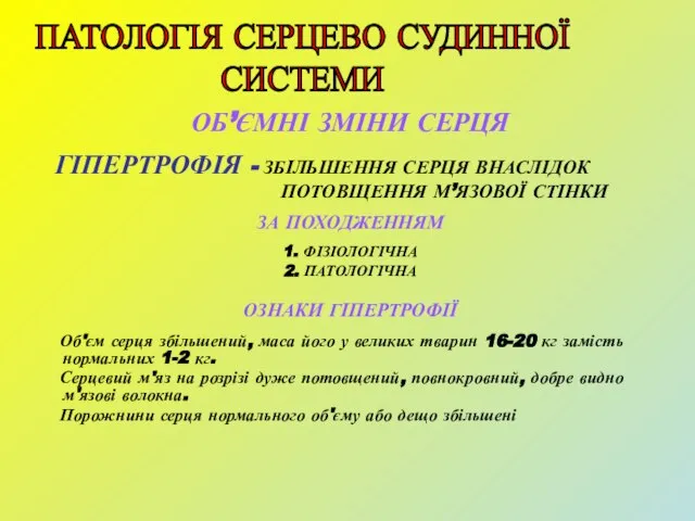 ОБ’ЄМНІ ЗМІНИ СЕРЦЯ ГІПЕРТРОФІЯ - ЗБІЛЬШЕННЯ СЕРЦЯ ВНАСЛІДОК ПОТОВЩЕННЯ М’ЯЗОВОЇ СТІНКИ