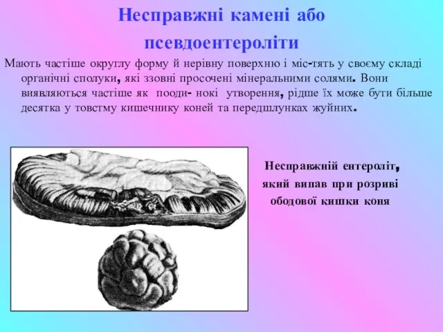 Несправжні камені або псевдоентероліти Мають частіше округлу форму й нерівну поверхню