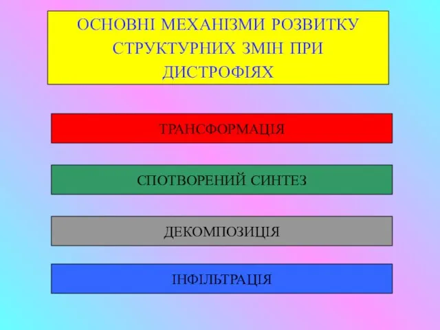 ОСНОВНІ МЕХАНІЗМИ РОЗВИТКУ СТРУКТУРНИХ ЗМІН ПРИ ДИСТРОФІЯХ ДЕКОМПОЗИЦІЯ ІНФІЛЬТРАЦІЯ СПОТВОРЕНИЙ СИНТЕЗ ТРАНСФОРМАЦІЯ