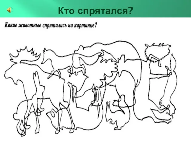 Кто спрятался?