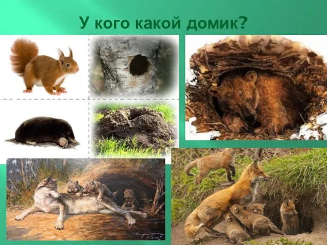 У кого какой домик?