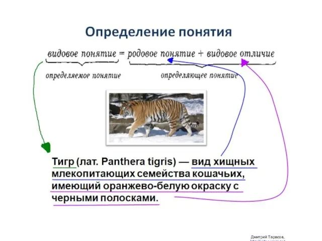 Определение понятия Дмитрий Тарасов, http://videouroki.net