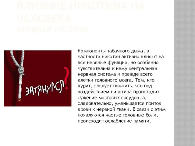 Влияние никотина на человека нервная система Компоненты табачного дыма, в частности