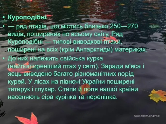 Куроподібні — ряд птахів, що містить близько 250—270 видів, поширених по