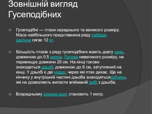 Зовнішній вигляд Гусеподібних Гусеподібні — птахи середнього та великого розміру. Маса