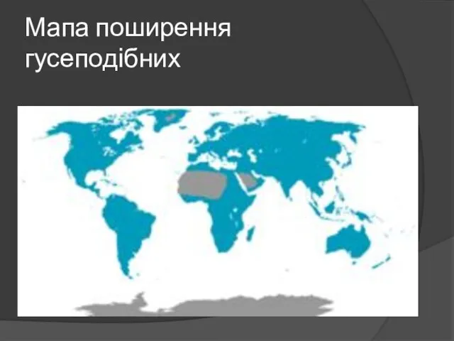 Мапа поширення гусеподібних