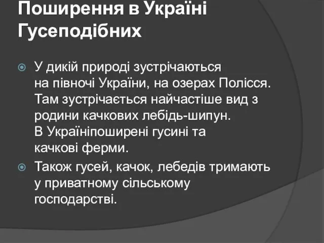 Поширення в Україні Гусеподібних У дикій природі зустрічаються на півночі України,