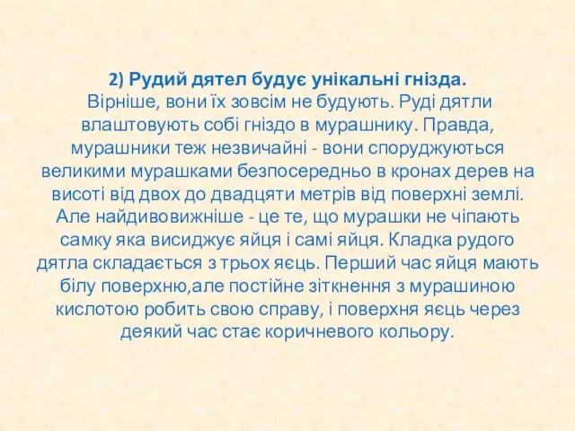 2) Рудий дятел будує унікальні гнізда. Вірніше, вони їх зовсім не