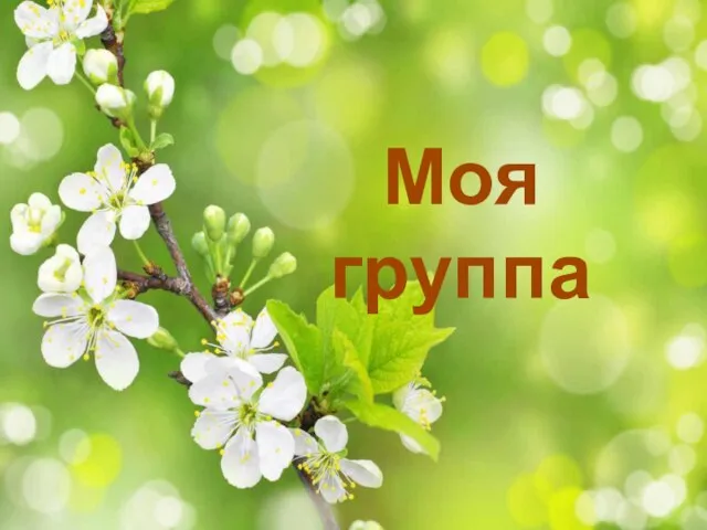 Моя группа