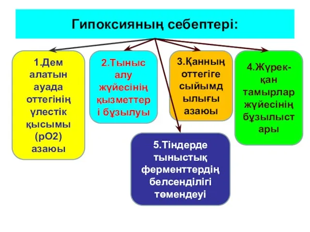 Гипоксияның себептері: 1.Дем алатын ауада оттегінің үлестік қысымы (рО2) азаюы 2.Тыныс