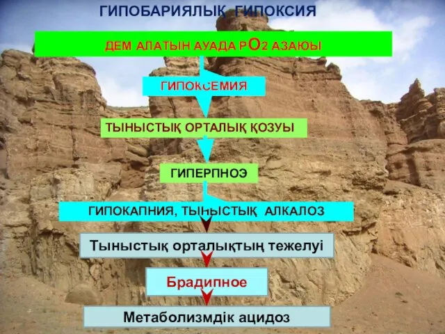 ДЕМ АЛАТЫН АУАДА РО2 АЗАЮЫ ГИПОКСЕМИЯ ТЫНЫСТЫҚ ОРТАЛЫҚ ҚОЗУЫ ГИПЕРПНОЭ ГИПОКАПНИЯ,