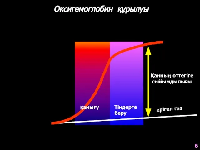 Оксигемоглобин құрылуы 0 20 40 60 80 100 HbO2 (%) pO2