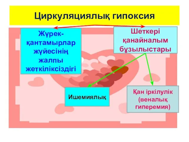 Циркуляциялық гипоксия Жүрек-қантамырлар жүйесінің жалпы жеткіліксіздігі Шеткері қанайналым бұзылыстары Ишемиялық Қан іркілулік (веналық гиперемия)