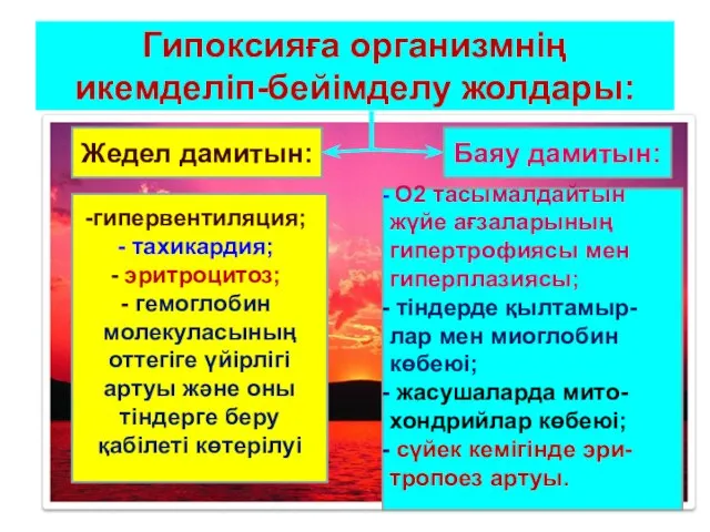 Гипоксияға организмнің икемделіп-бейімделу жолдары: Жедел дамитын: Баяу дамитын: гипервентиляция; тахикардия; эритроцитоз;