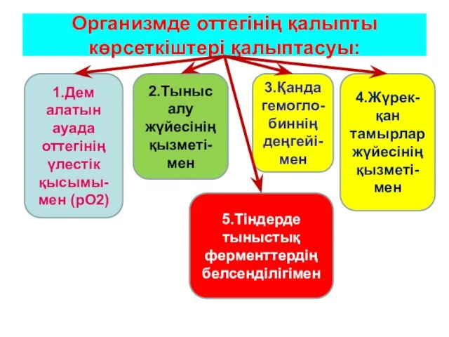 Организмде оттегінің қалыпты көрсеткіштері қалыптасуы: 1.Дем алатын ауада оттегінің үлестік қысымы-мен