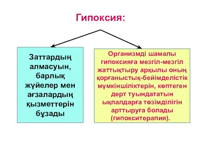 Гипоксия: Заттардың алмасуын, барлық жүйелер мен ағзалардың қызметтерін бұзады Организмді шамалы