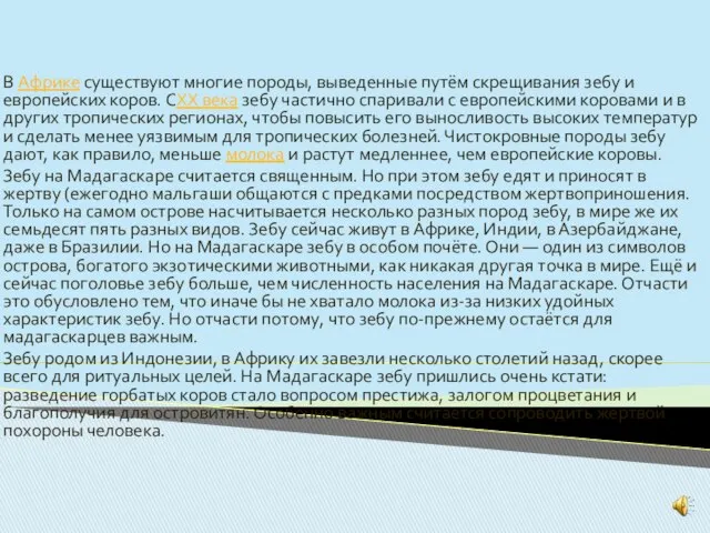 В Африке существуют многие породы, выведенные путём скрещивания зебу и европейских