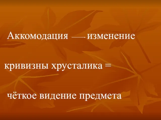 Аккомодация изменение кривизны хрусталика = чёткое видение предмета