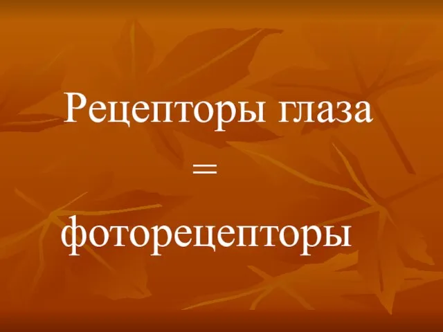 Рецепторы глаза = фоторецепторы