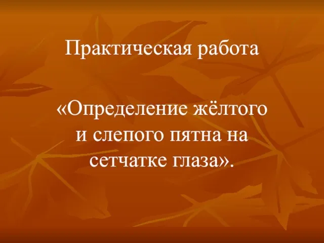 Практическая работа «Определение жёлтого и слепого пятна на сетчатке глаза».