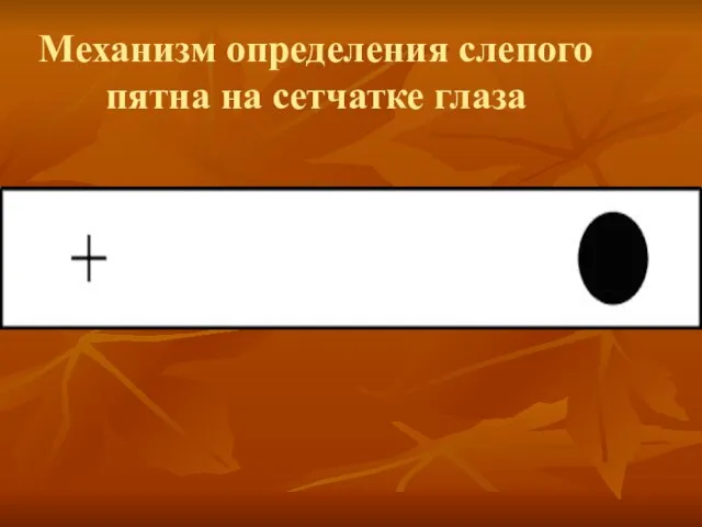 Механизм определения слепого пятна на сетчатке глаза