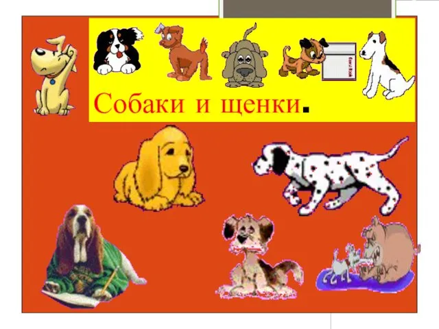 Собаки и щенки.