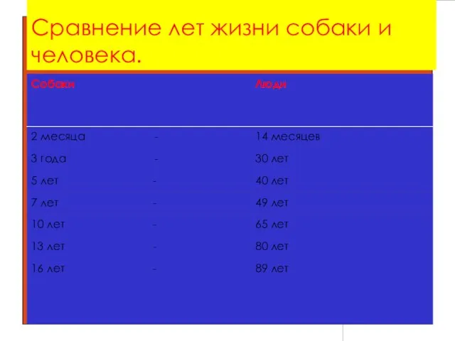 Сравнение лет жизни собаки и человека.