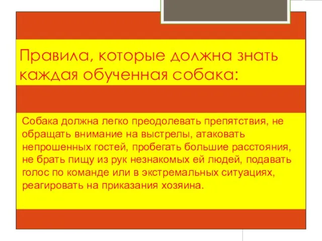 Правила, которые должна знать каждая обученная собака: Собака должна легко преодолевать