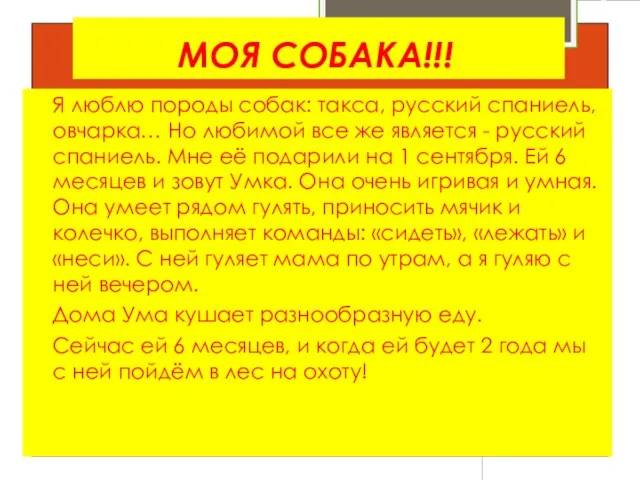 МОЯ СОБАКА!!! Я люблю породы собак: такса, русский спаниель, овчарка… Но