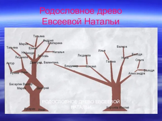 Родословное древо Евсеевой Натальи РОДОСЛОВНОЕ ДРЕВО ЕВСЕЕВОЙ НАТАЛЬИ