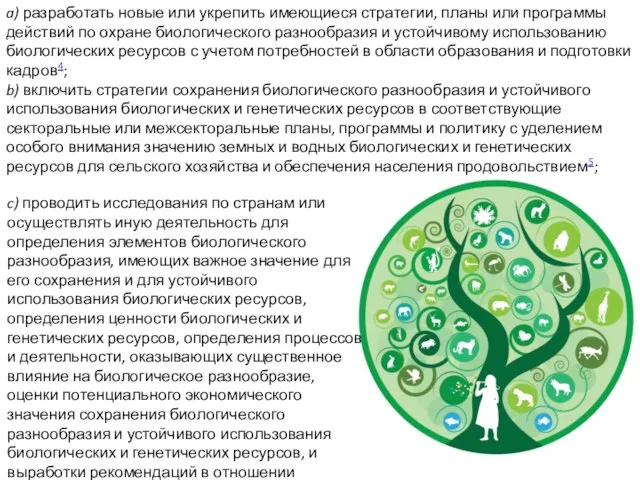 a) разработать новые или укрепить имеющиеся стратегии, планы или программы действий